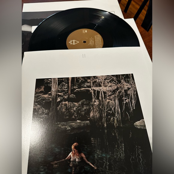 Florence and the Machine Vinyl Record Album - Picture 2 of 4